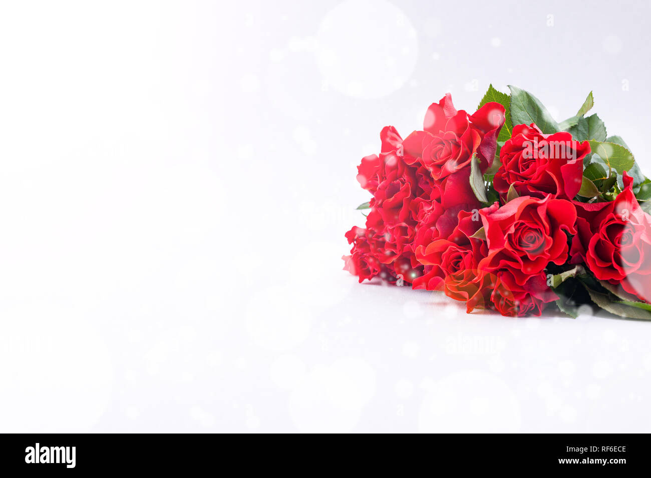 Bouquet of red rose on a white background. Free space for tksta. Gift ...