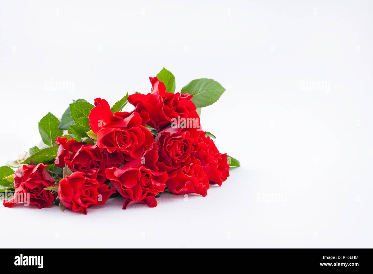 Bouquet of red rose on a white background. Free space for tksta. Gift ...