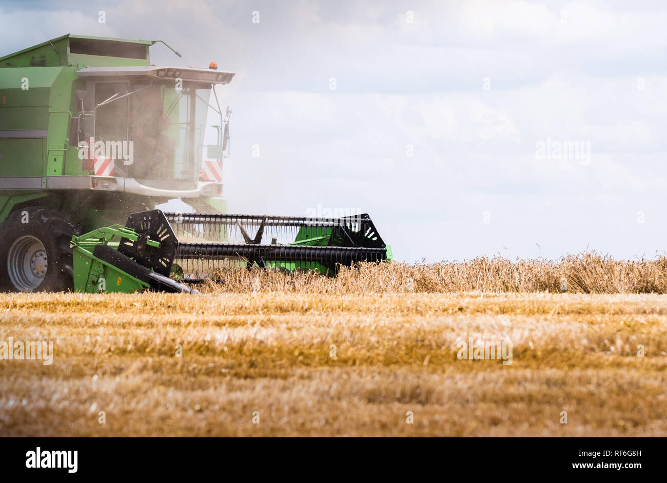Harvesting of wheat field with combine in early summer Stock Photo - Alamy