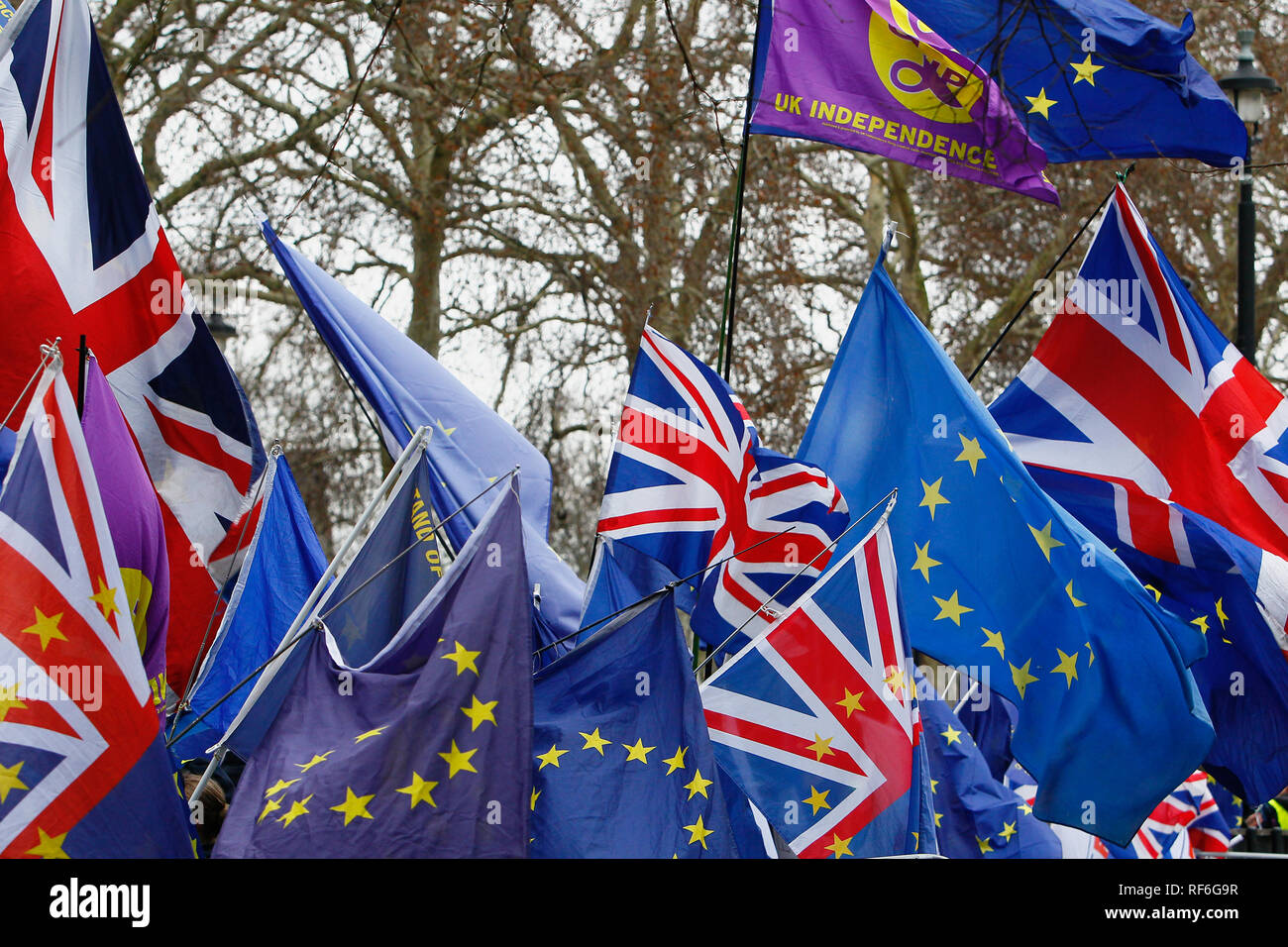 Sat No To Brexit 10 Metres 20 Flags EU Euro European Union Flags Bunting Banner