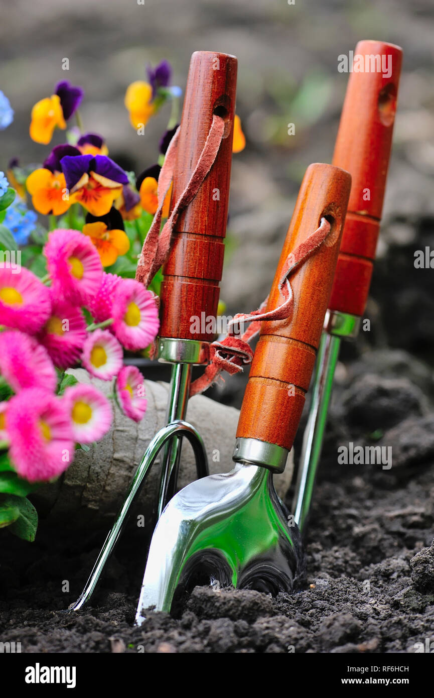Spring Garden Tools Gardening tools and spring flowers in the garden Stock Photo - Alamy