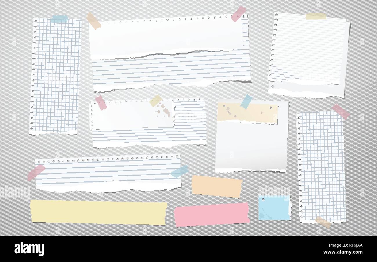 Colorful and white ripped lined notebook paper, torn note paper strips ...