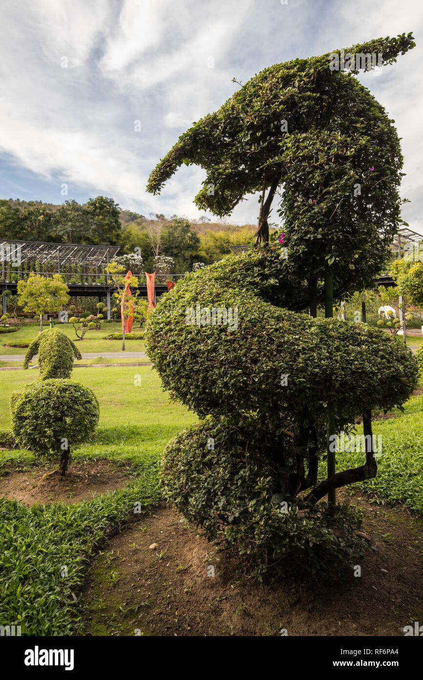 Topiary at Royal Park Ratchpruek - During tihe celebrations for the King of Thailand’s 60th anniversary of his accession to the throne, Ratchapruek Ro Stock Photo