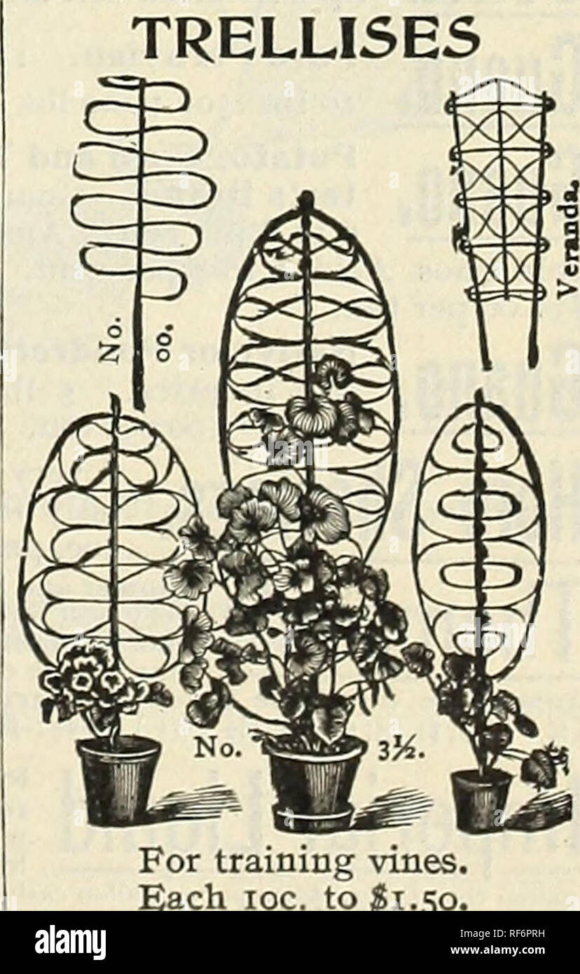 . Michell's bulbs, seeds, plants, etc. : autumn guide 1902. Nursery stock Pennsylvania Philadelphia Catalogs; Flowers Seeds Catalogs; Bulbs (Plants) Catalogs; Gardening Equipment and supplies Catalogs. PAINTED POT LABELS IOC inch . $0.10 &quot; . .12 &quot; . -IS &quot; .20 1000 .85 1.00 1.10 6 inch . 8 &quot; . 10 &quot; . 12 &quot; . 100 1000 $0.25 ^1-25 â¢ 35 2.50 .50 4.00 â 75 5-25 PAINTED TREE LABELS in. notched . per 100, 15c.; per 1000, Ji.00 per 100, 20c.; per 1000, 1.25 Copper Wired INDELIBLE MARKING PENCIL 10 cts. each. Painted Pot and Tree Labels INDESTRUCTIBLE COPPER LABELS. Made o Stock Photo