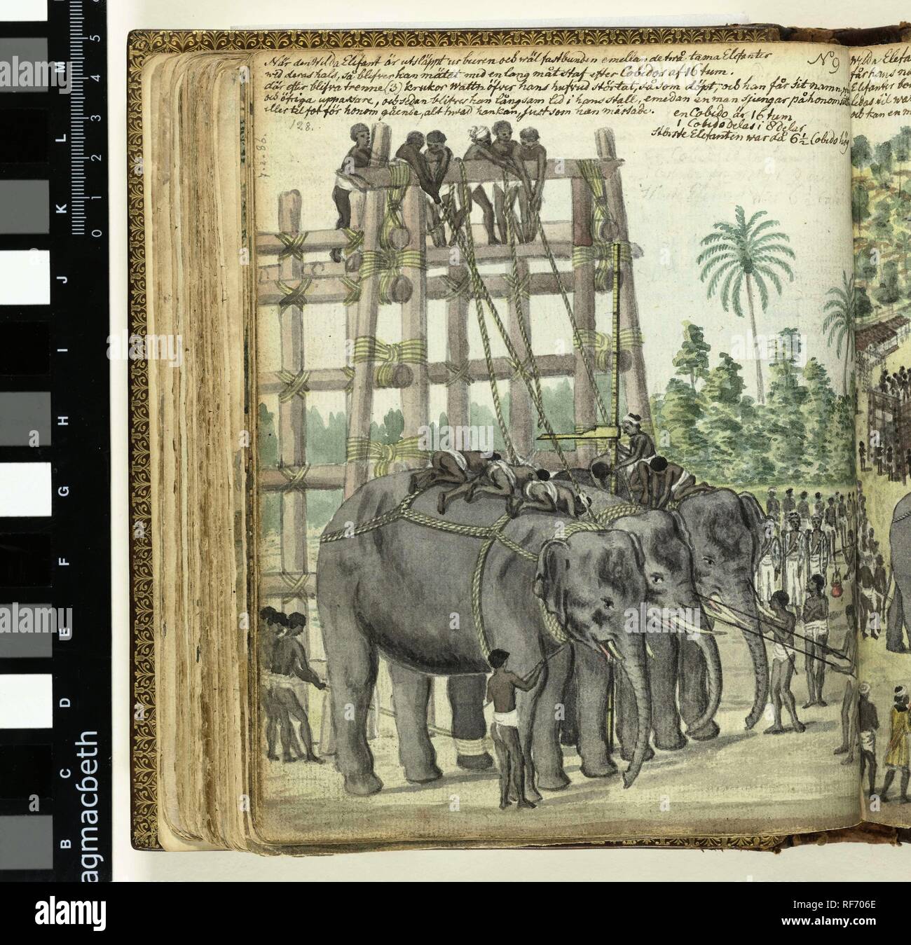 Page 2 Verenigde Oostindische Compagnie High Resolution Stock Photography And Images Alamy