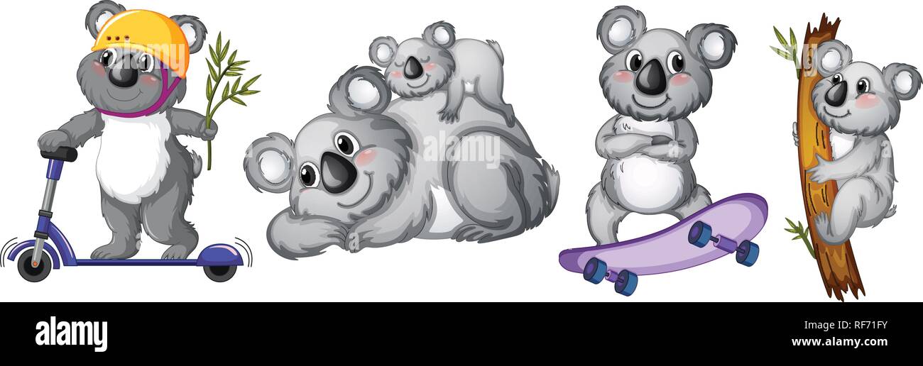 Set of koala bear character illustration Stock Vector Image & Art - Alamy