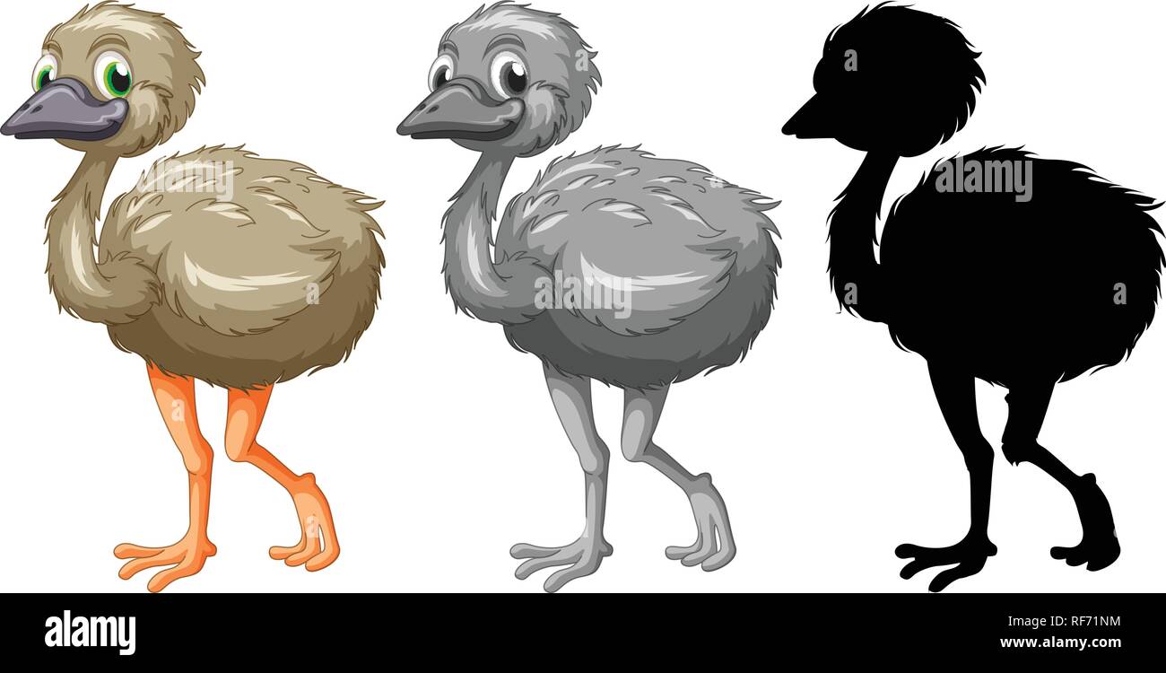 Emu with character hi-res stock photography and images - Alamy Emu with character hi-res stock photography and images - Alamy