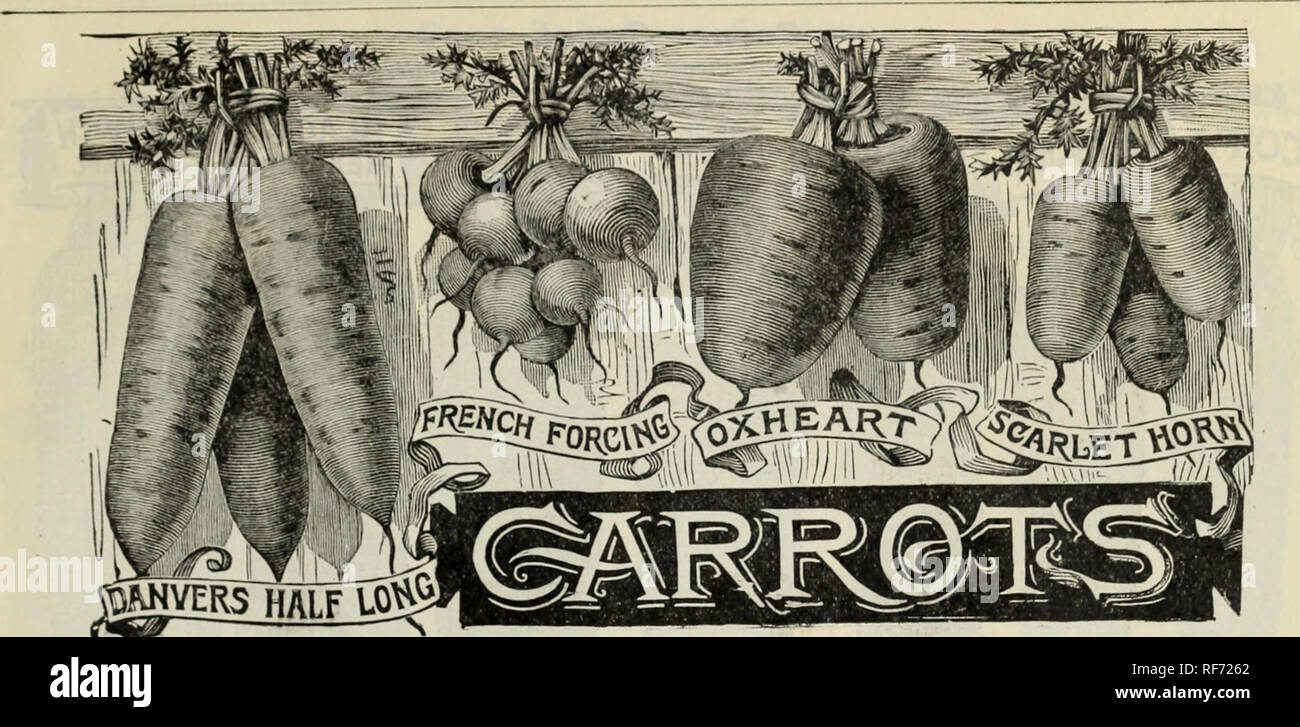 Annual Descriptive Catalogue Seed C Nursery Stock Massachusetts Boston Catalogs Vegetables Seeds Catalogs Flowers Seeds Catalogs Annual Descriptive Catalogue Seed C Nursery Stock Massachusetts Boston Catalogs Vegetables Seeds Catalogs Flowers Seeds Catalogs