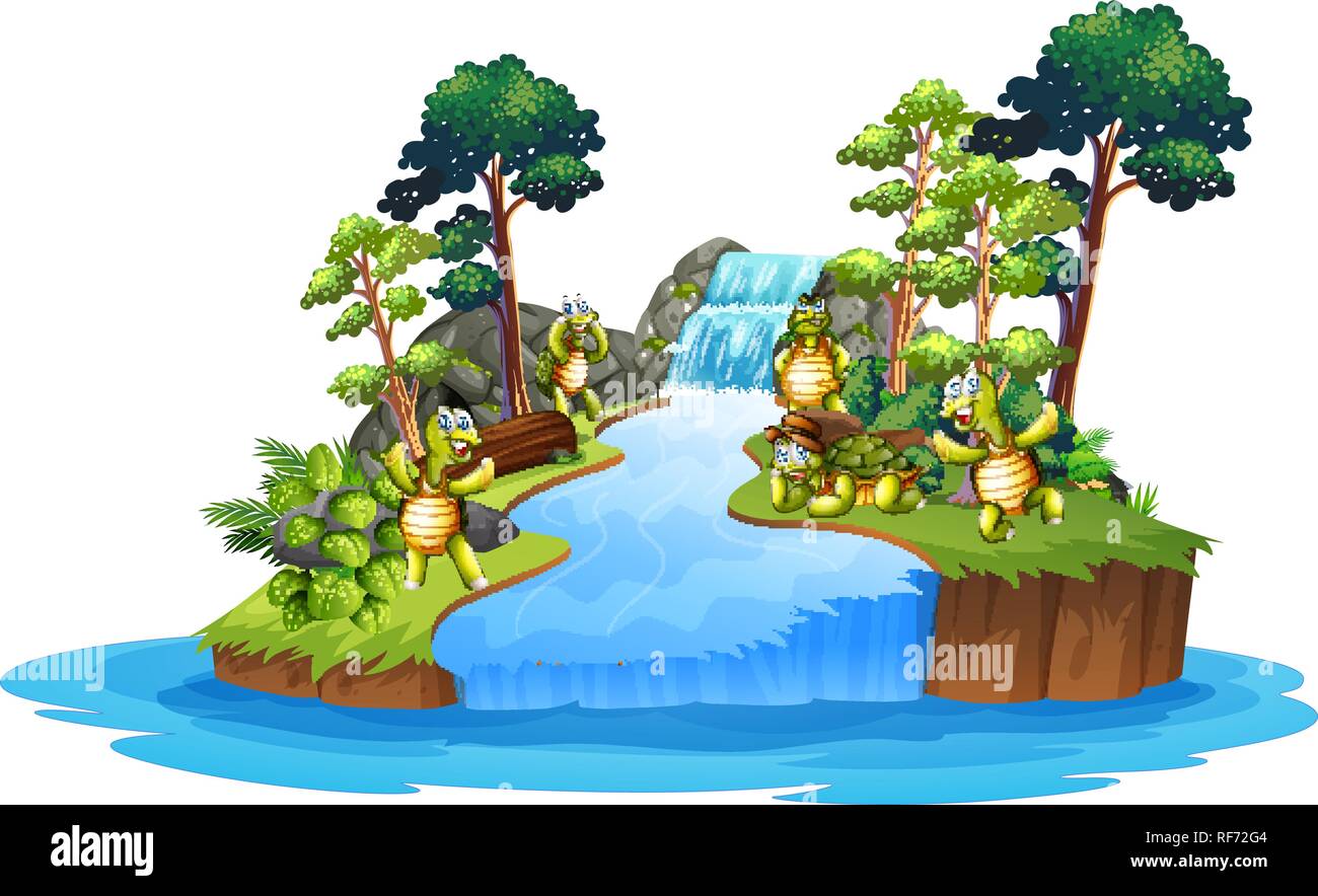 Isolated turtle in nature illustration Stock Vector Image & Art - Alamy