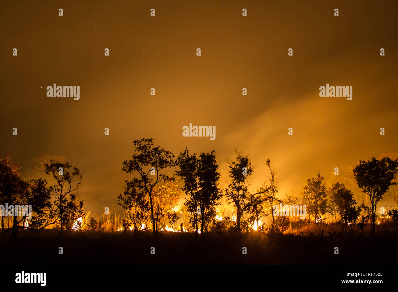 Savanna fire hires stock photography and images Alamy