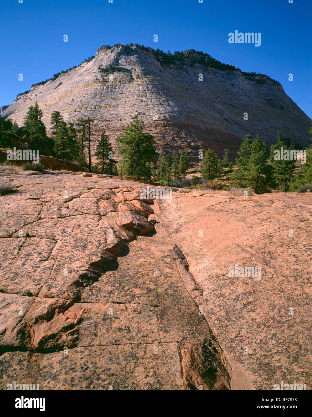 Checkerboard formation hi-res stock photography and images - Alamy