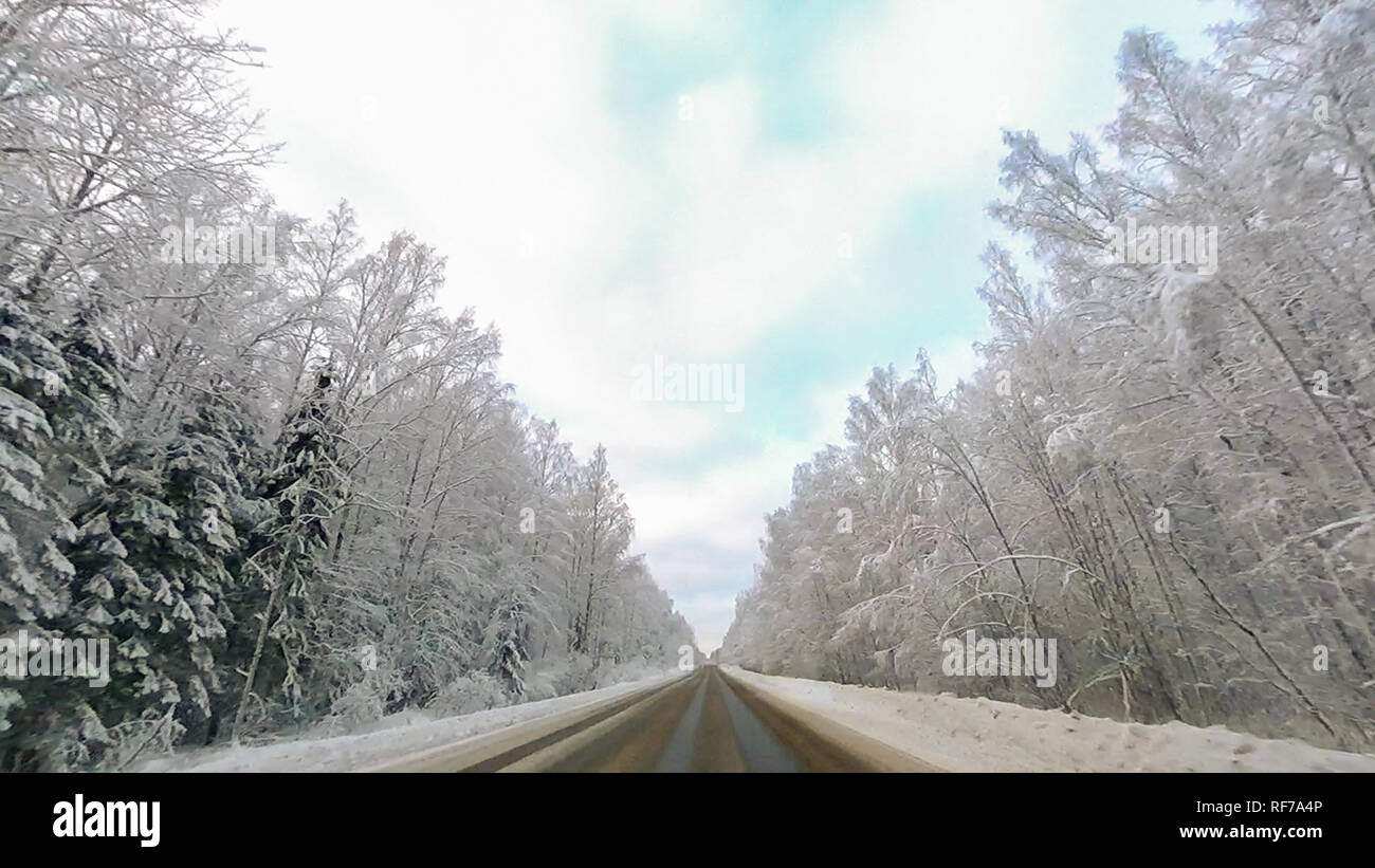 Country road in winter along the forest with white snow trees Stock ...