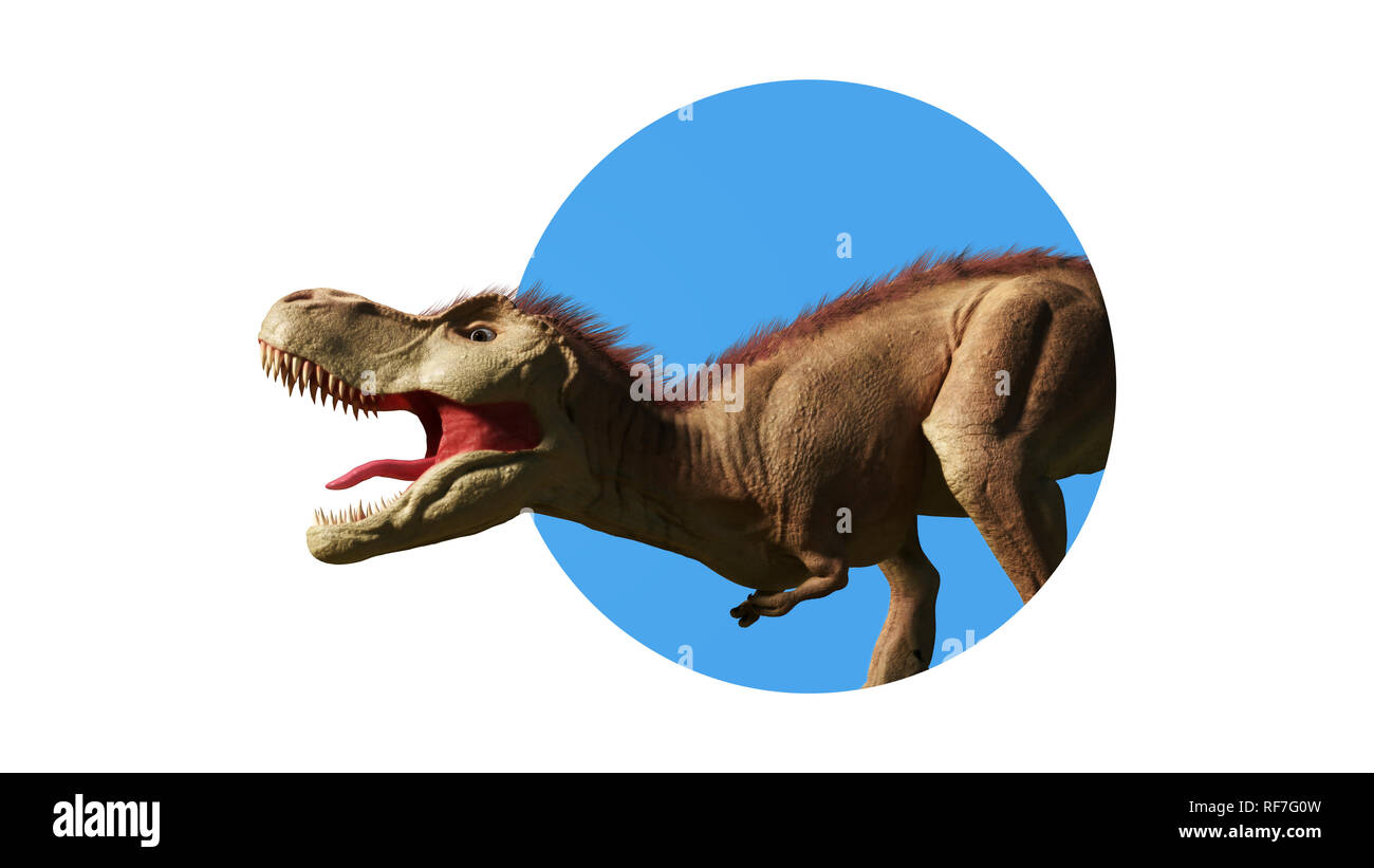 Tyrannosaurus rex, close up  T-rex dinosaur looking through the wall (3d render isolated on white background) Stock Photo