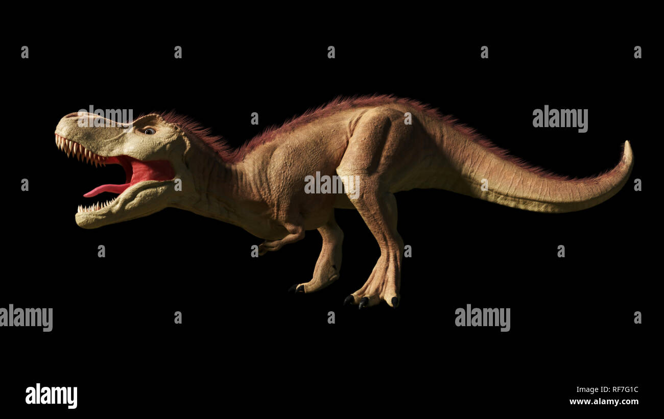 Tyrannosaurus rex, T-rex dinosaur from the Jurassic period (3d render isolated on black background) Stock Photo