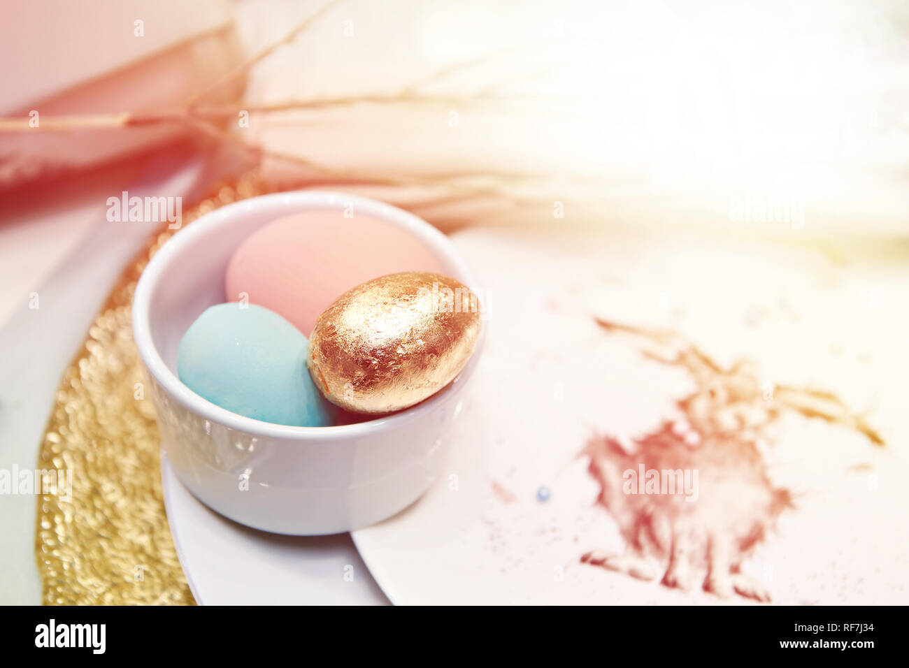 Golden rabbit hi-res stock photography and images - Alamy