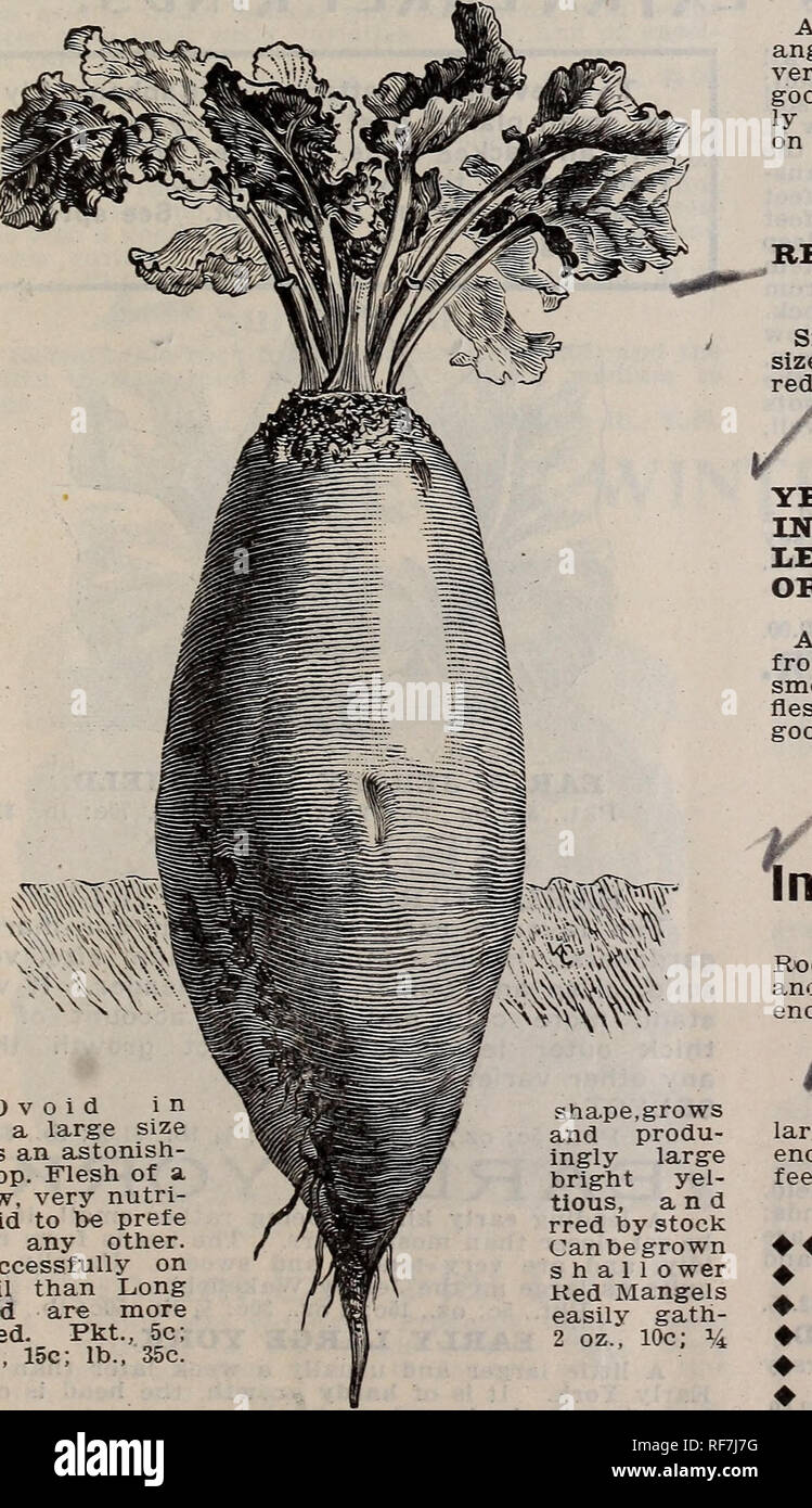 White alkali soil hires stock photography and images Alamy