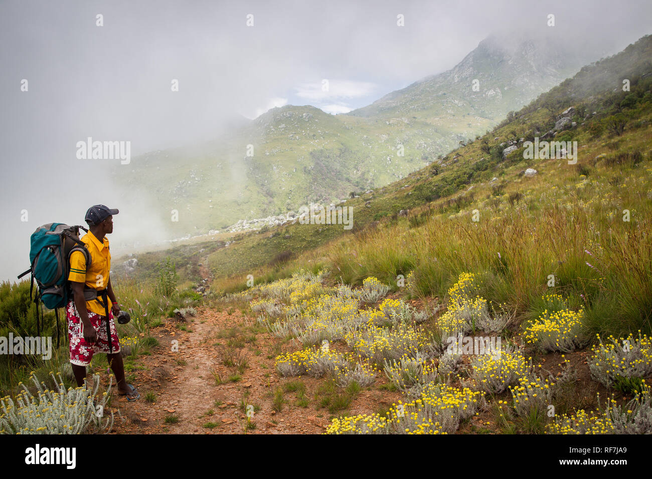 Mount Mulanje, a giant massif in southern district, Malawi, is the tallest mountain in south central Africa and consists of a network of hiking trails Stock Photo