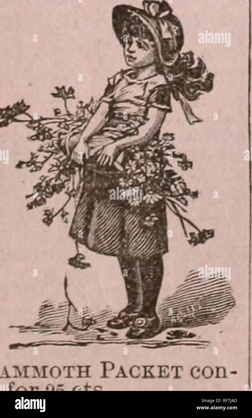 100 extras hires stock photography and images Alamy