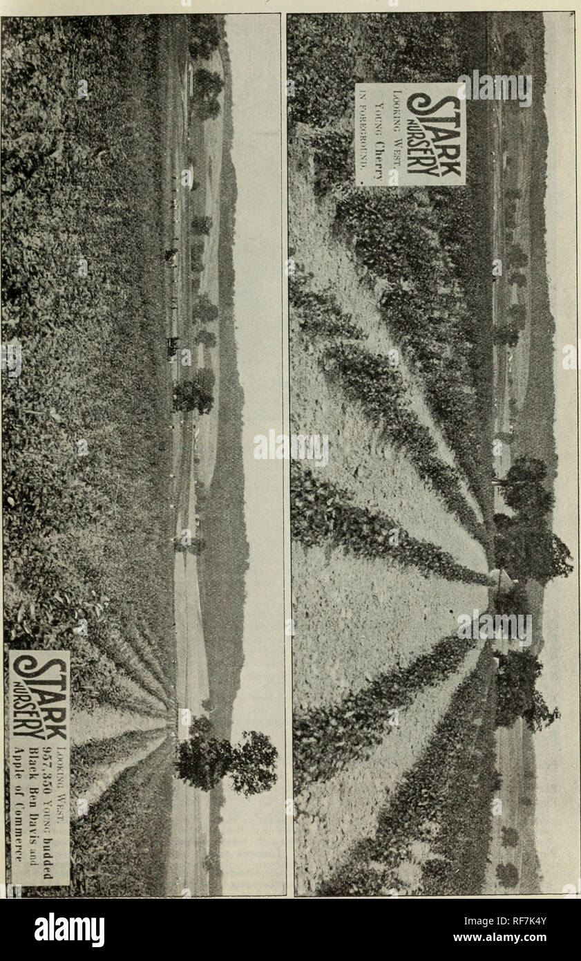 . Stark fruit book. Nursery stock Missouri Louisiana Catalogs; Fruit