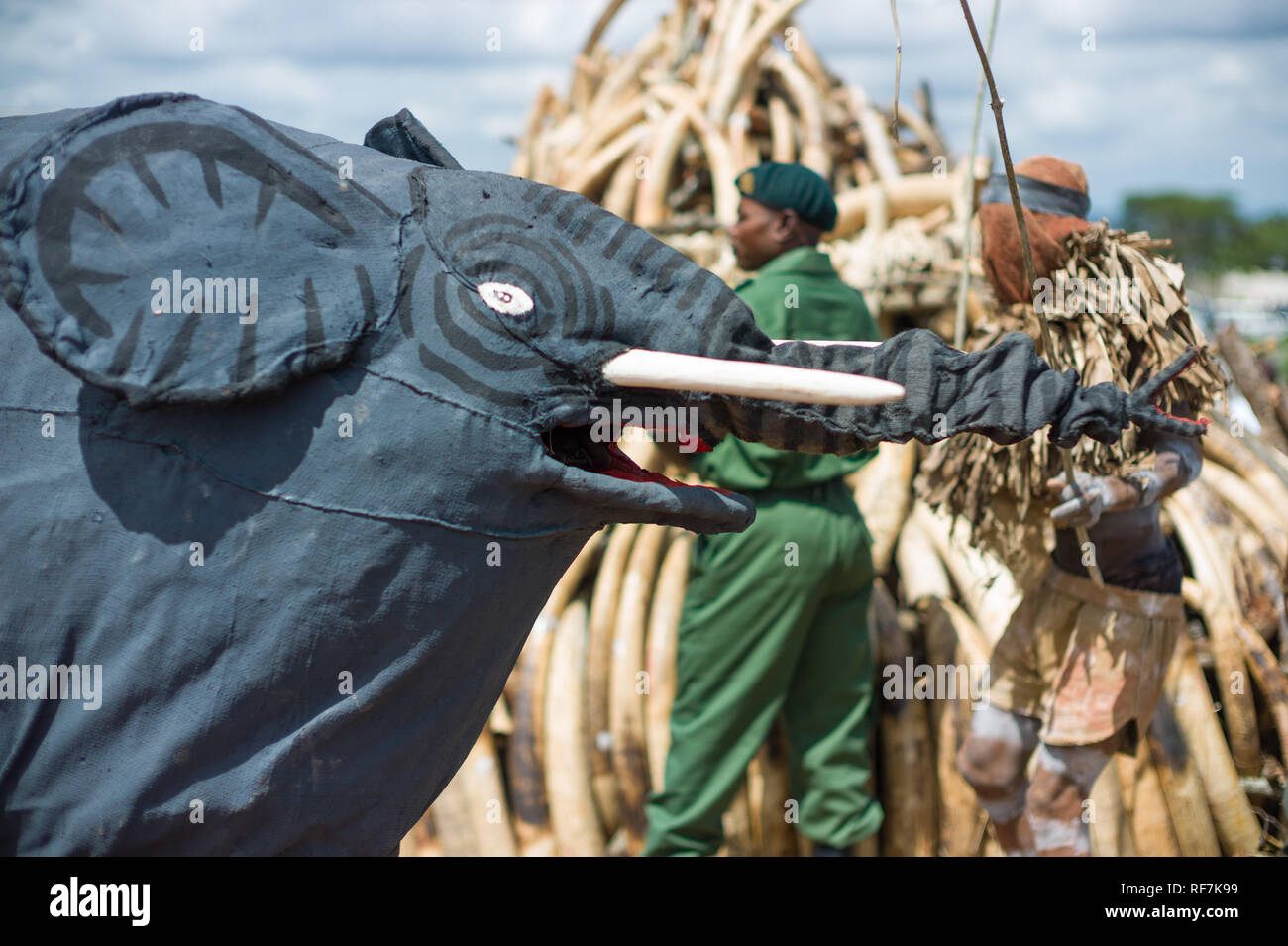 Traditional gule wamkulu tribal dancers perform a spiritual ceremony in front of confiscated elephant ivory scheduled to burn, Lilongwe Malawi Stock Photo