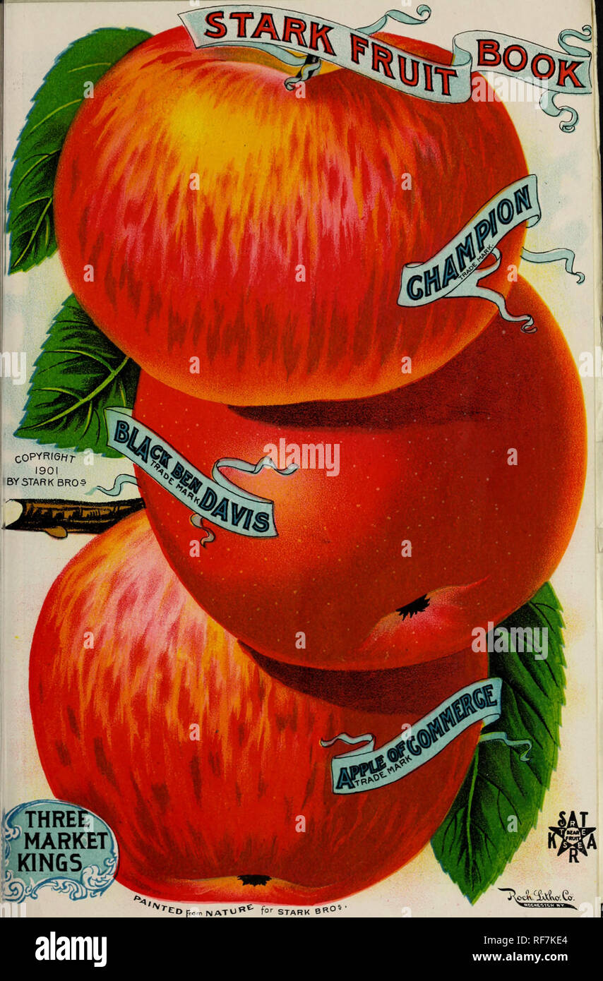 . Stark fruit book. Nursery stock Missouri Louisiana Catalogs; Fruit trees Catalogs; Fruit Catalogs; Flowering shrubs Catalogs. . Please note that these images are extracted from scanned page images that may have been digitally enhanced for readability - coloration and appearance of these illustrations may not perfectly resemble the original work.. Stark Bro's Nurseries &amp; Orchards Co; Henry G. Gilbert Nursery and Seed Trade Catalog Collection. [Louisiana, Mo. : Stark Bro's. ] Stock Photo