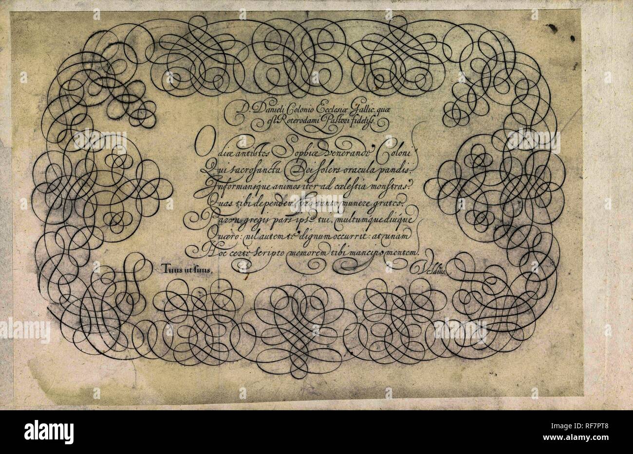 Daniel colonius hires stock photography and images Alamy