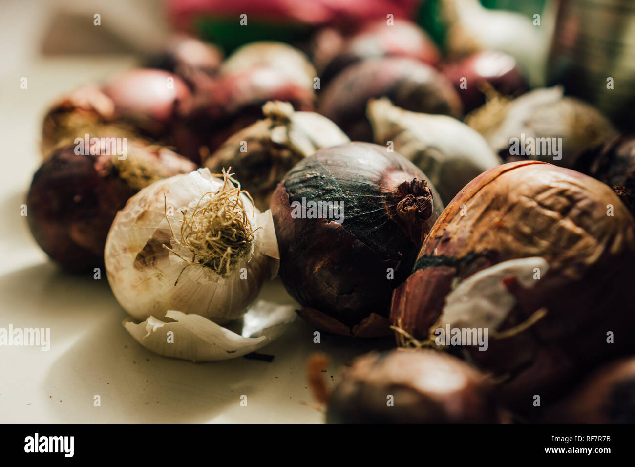 Rotten onions hires stock photography and images Alamy