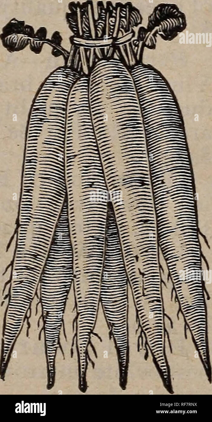 Viena x hires stock photography and images Alamy