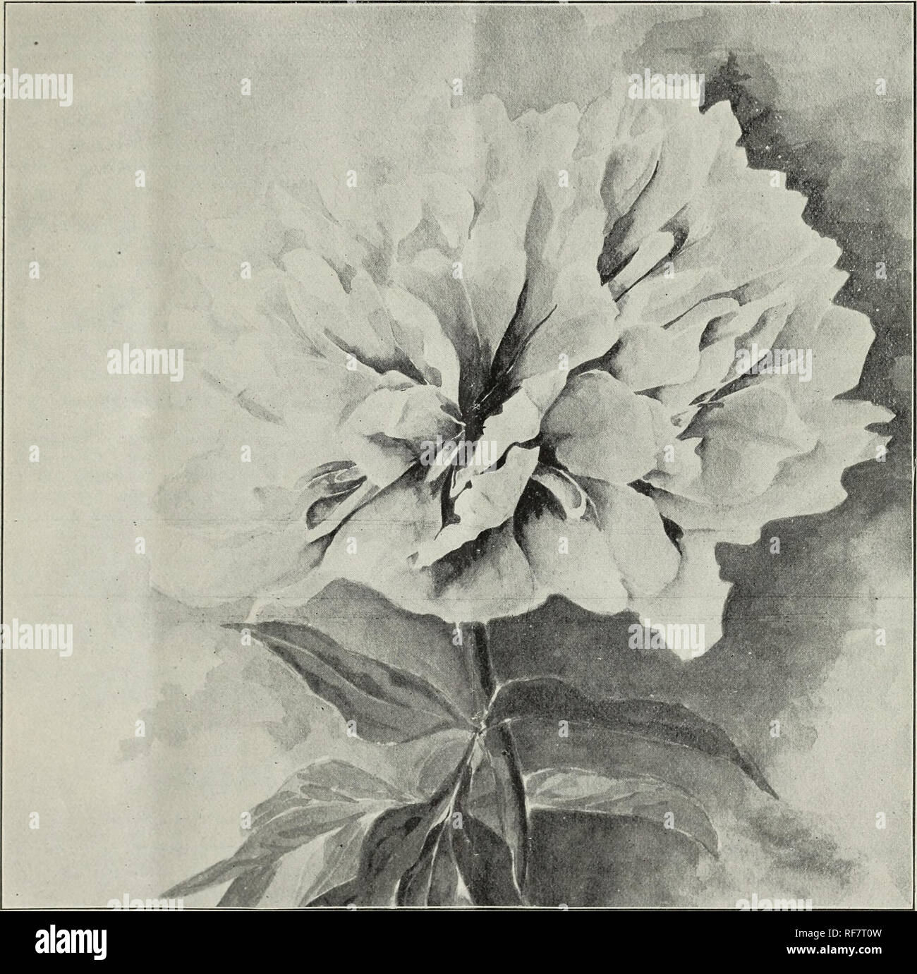 Fall Trade List September 1901 Nursery Stock New York State