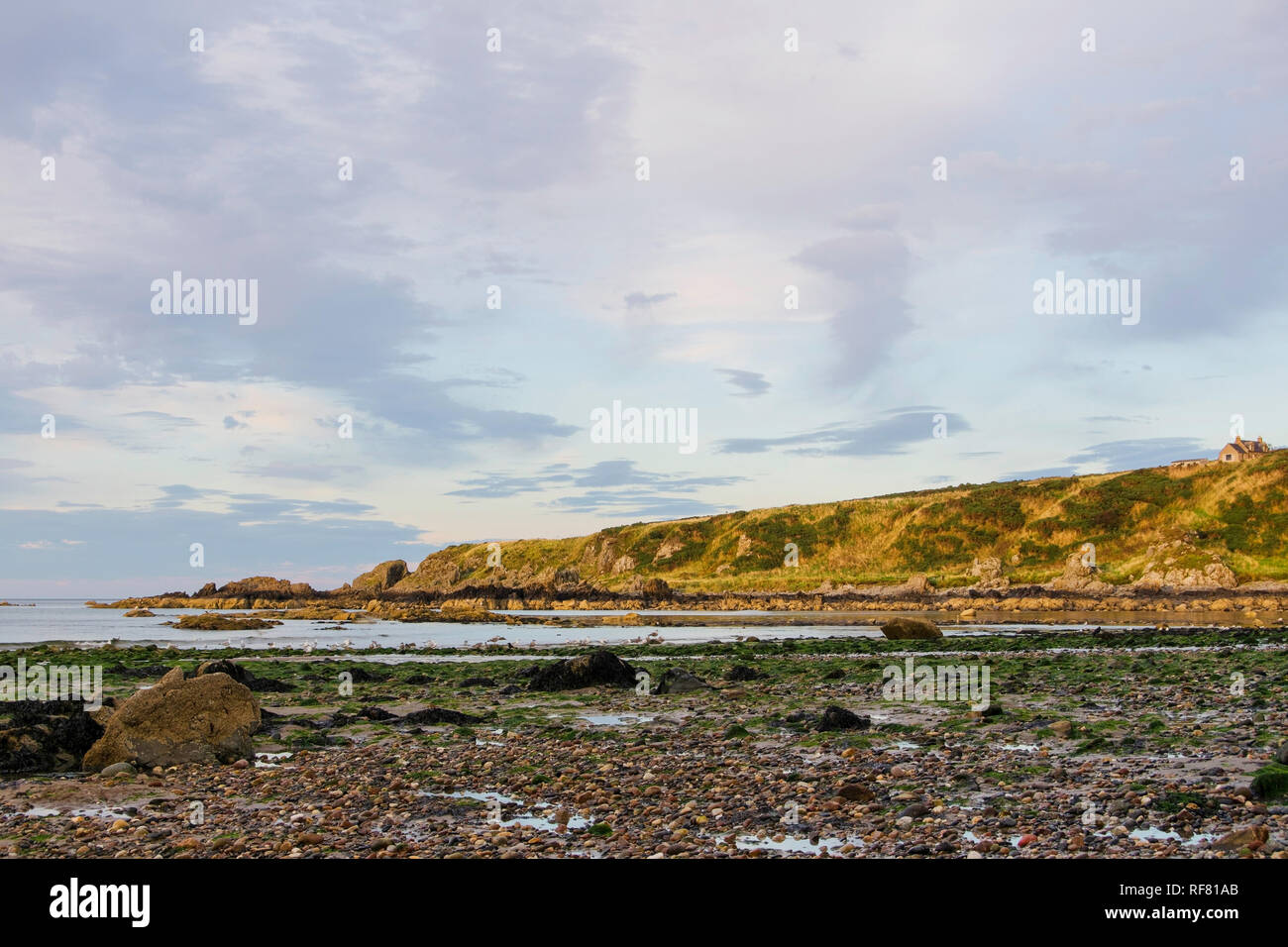 Firth Inlet Meeresarm High Resolution Stock Photography and Images - Alamy