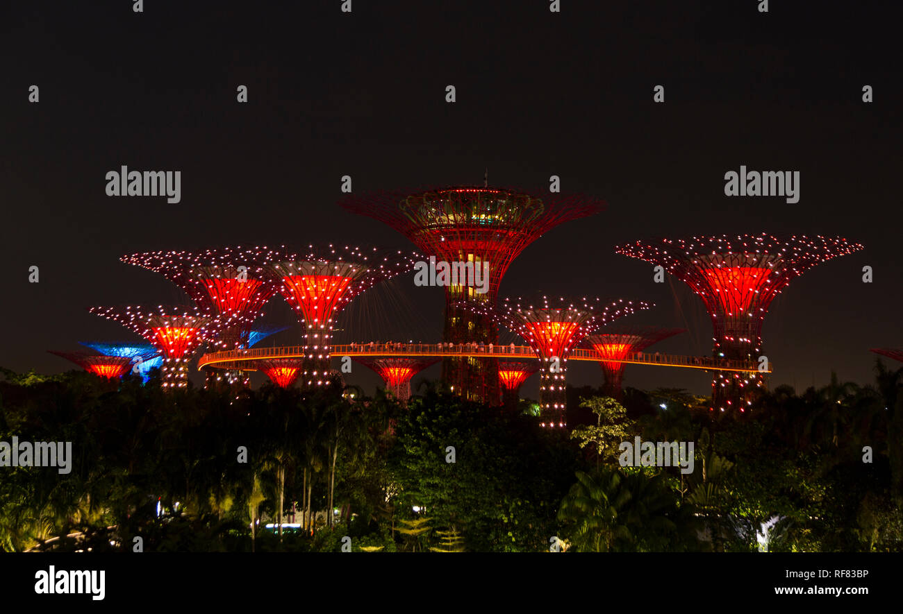 Supertree grove in gardens bay hi-res stock photography and images - Alamy