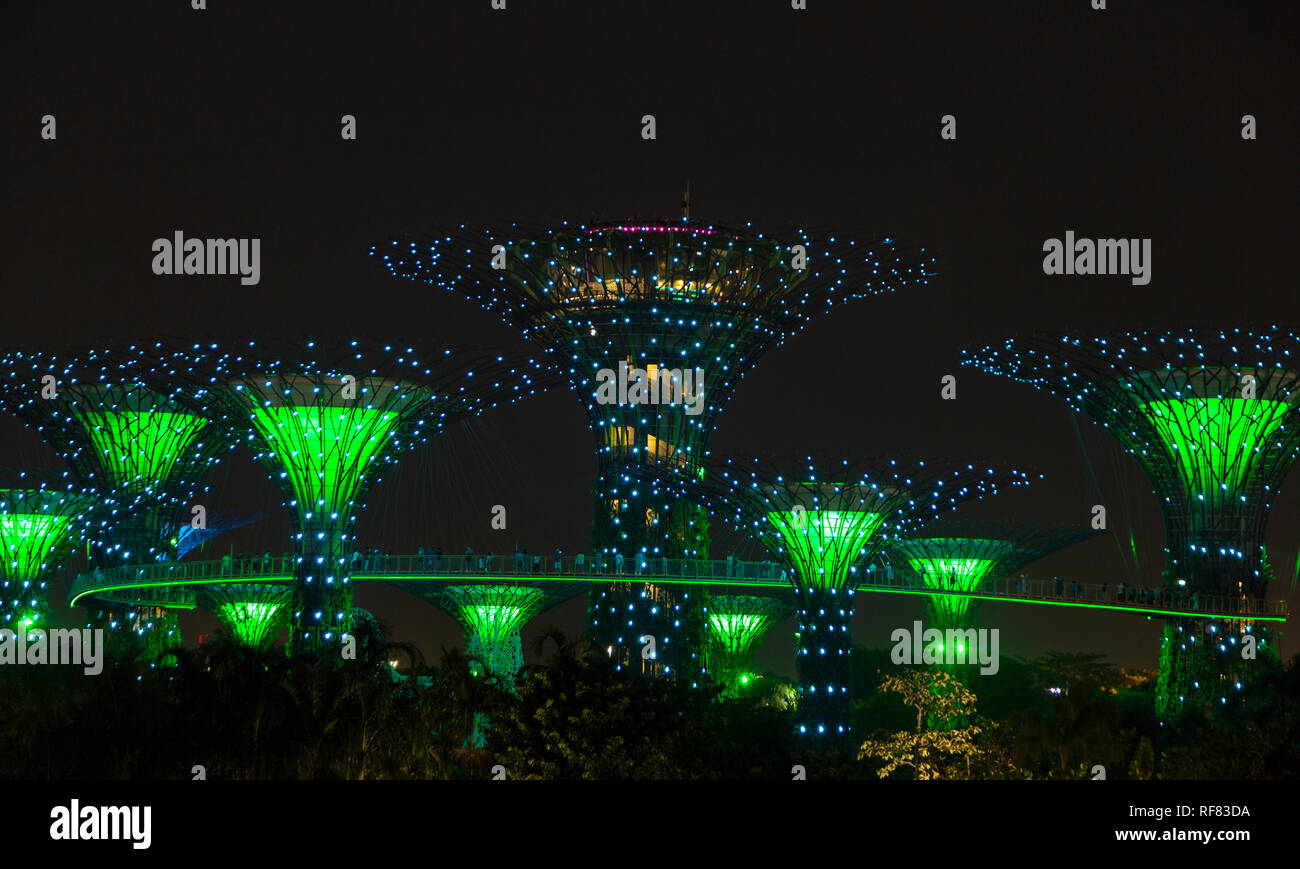 Supertree Grove in the evening during the daily light show, Gardens by the Bay, Singapore Stock Photo