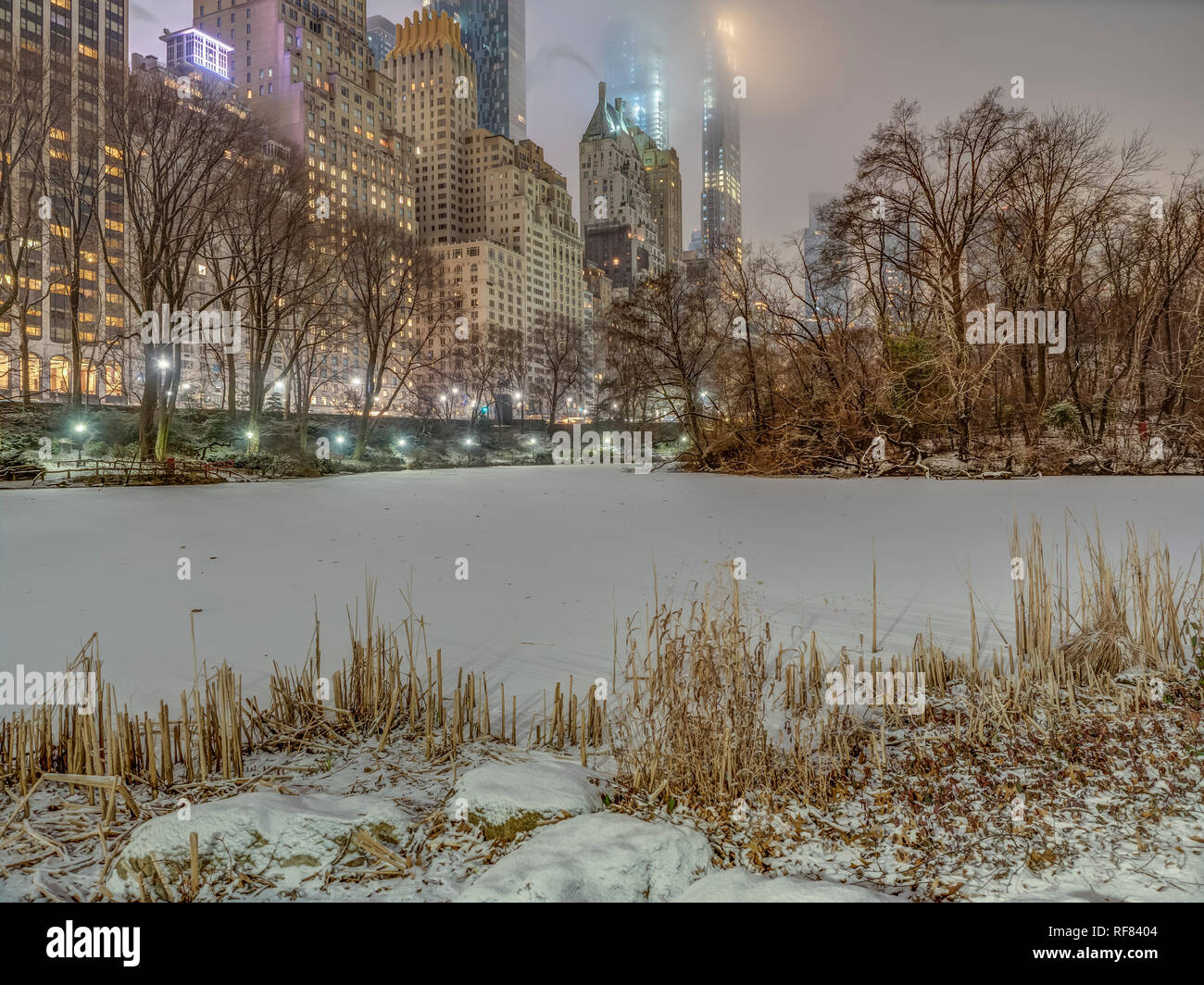 Central Park, Manhattan, New York City in winter during snow storm ...