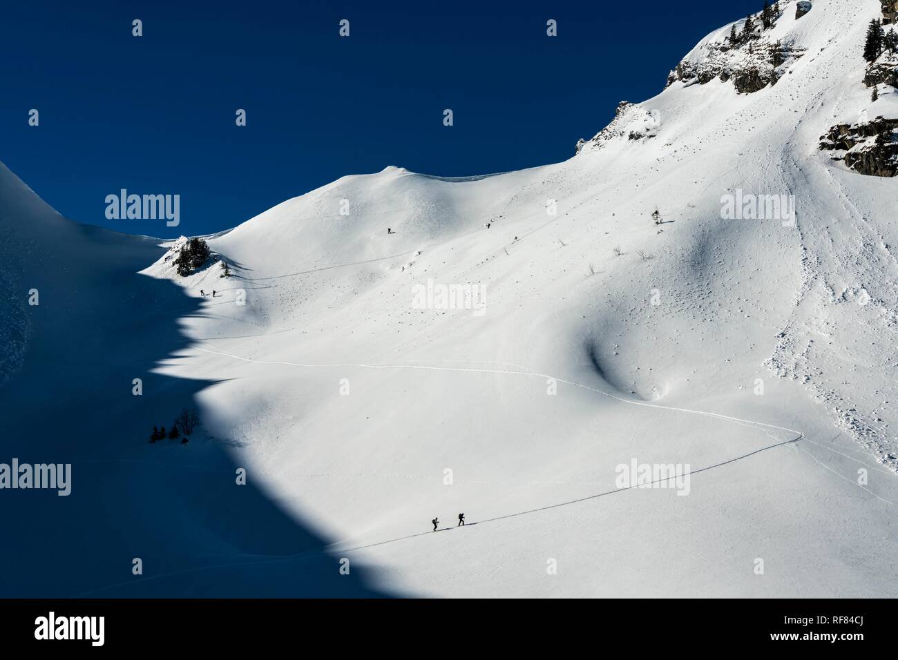 Ski tourers in ascent, avalanche, Reutte, Außerfern, Tyrol, Austria Stock Photo