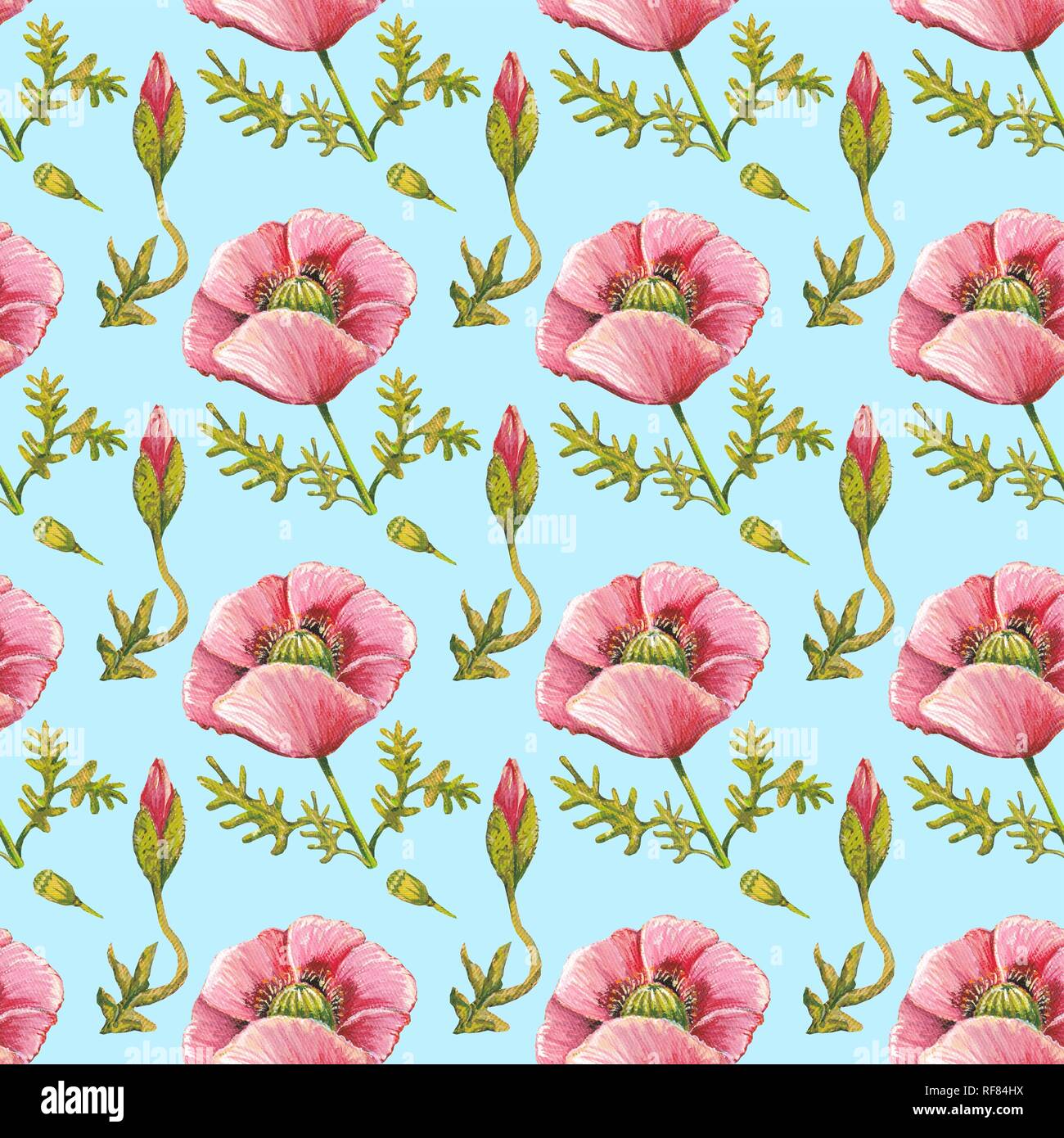 Wallpaper, wrapping paper, seamless pattern, poppies in pink, background blue, Germany Stock Photo