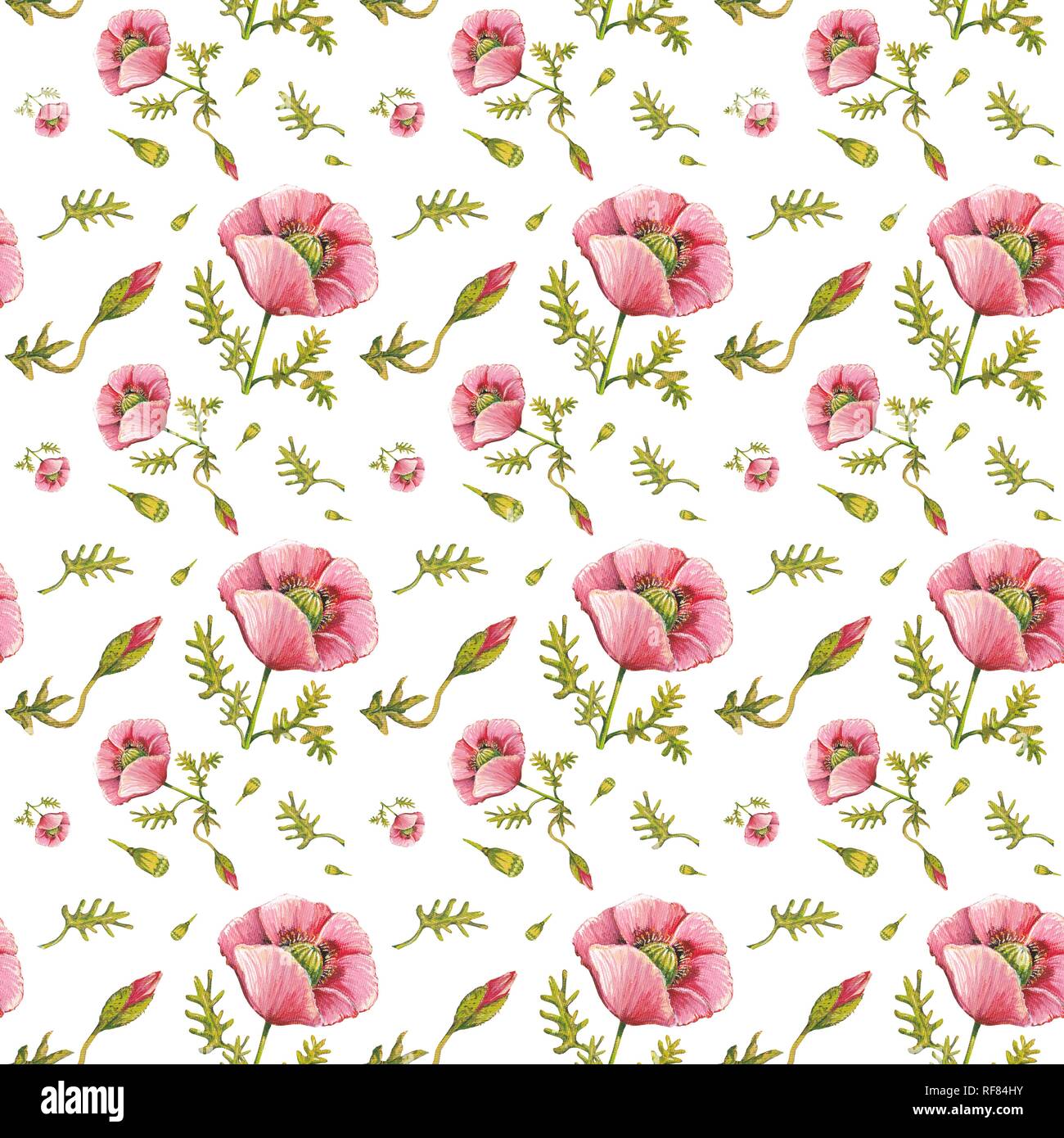 Wallpaper, wrapping paper, seamless pattern, poppies in pink, background white, Germany Stock Photo