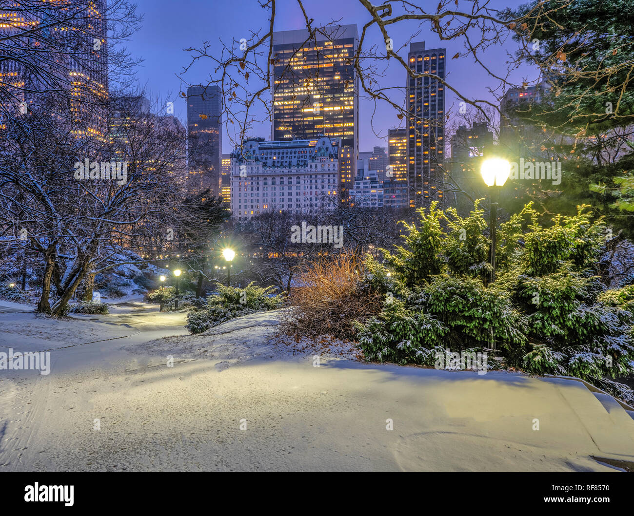 Central Park, Manhattan, New York City in winter during snow storm ...