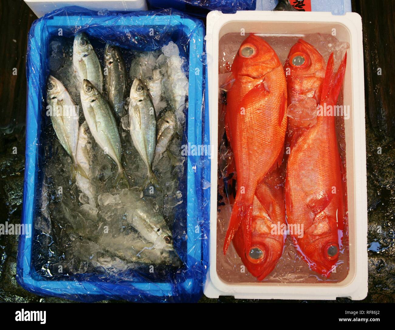 Fishs boxes hi-res stock photography and images - Alamy