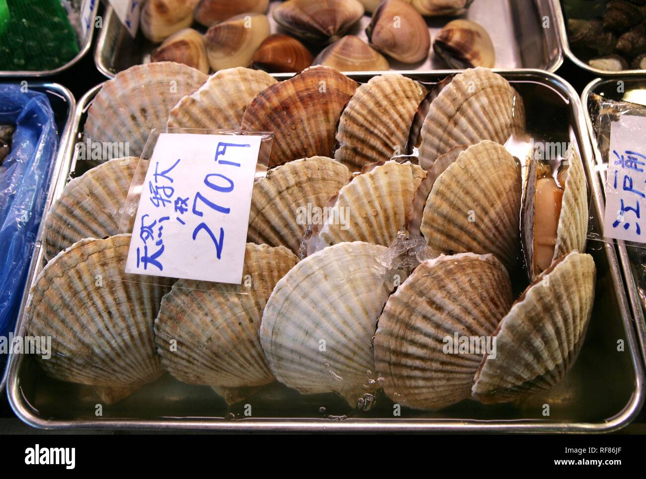Scallops, Fish market, Tsukiji, Tokyo, Japan, Asia Stock Photo