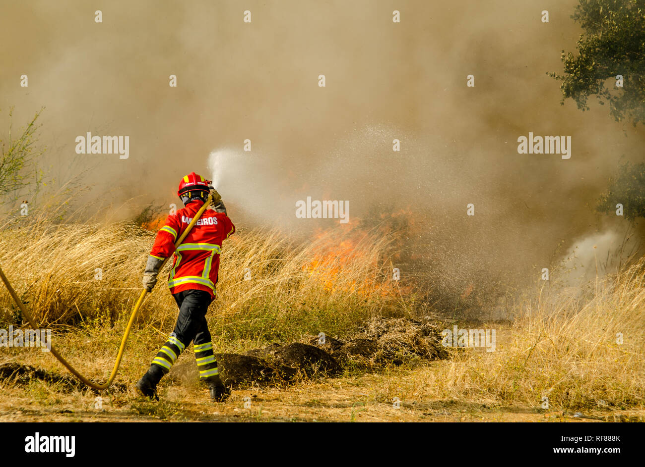 firefighter fighting fire Stock Photo Alamy