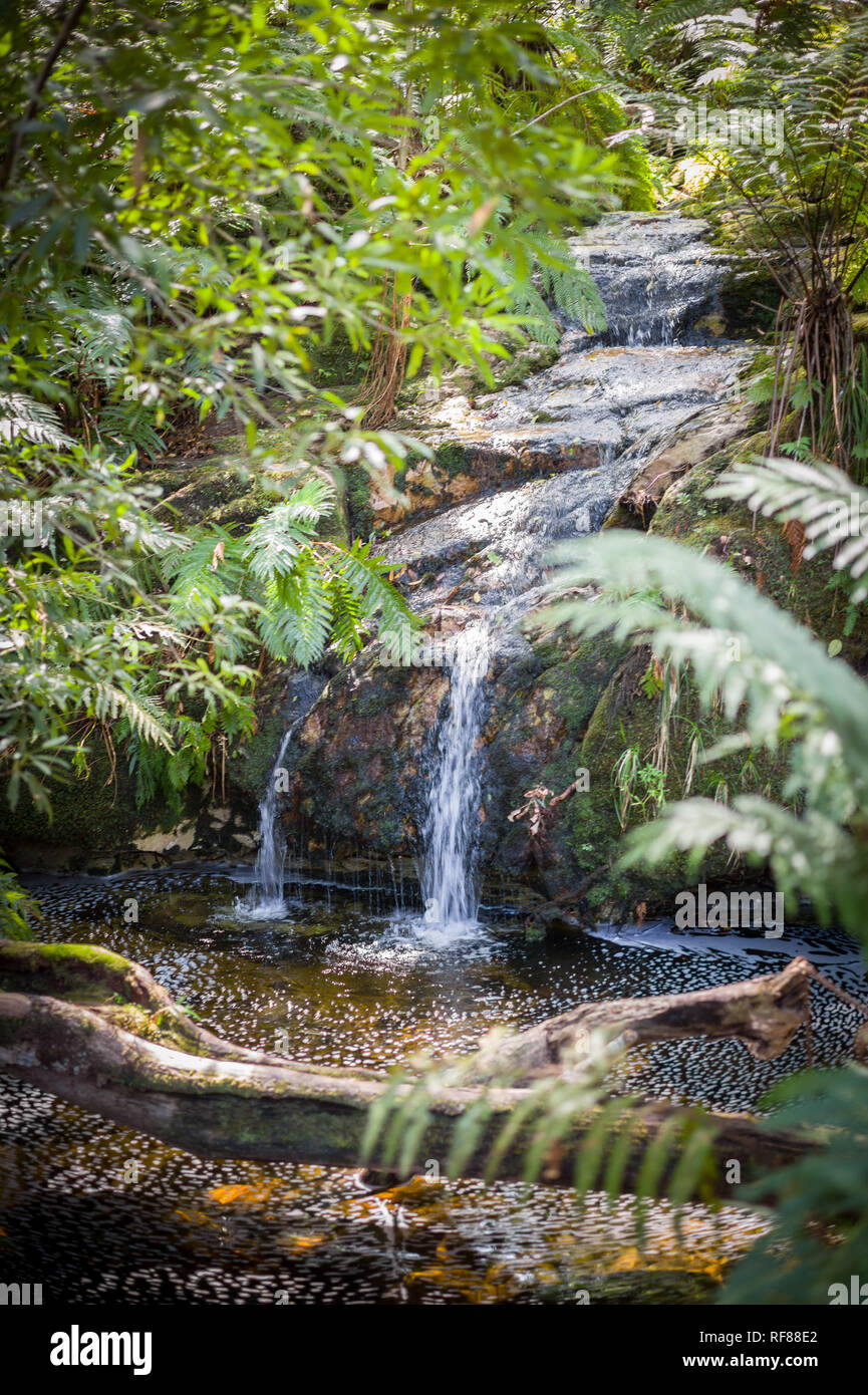 The Tsitsikamma Hiking Trail is a multiday backpacking route starting at the Indian Ocean near