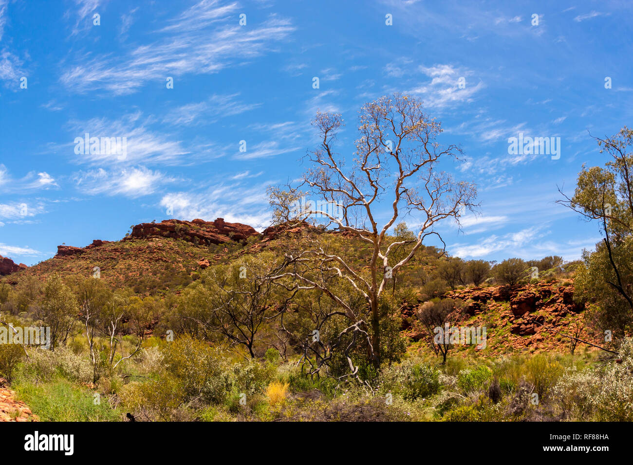 Deserted mountain landscape. Kings Canyon, Northern Territory, Watarrka National Park, Australia Stock Photo