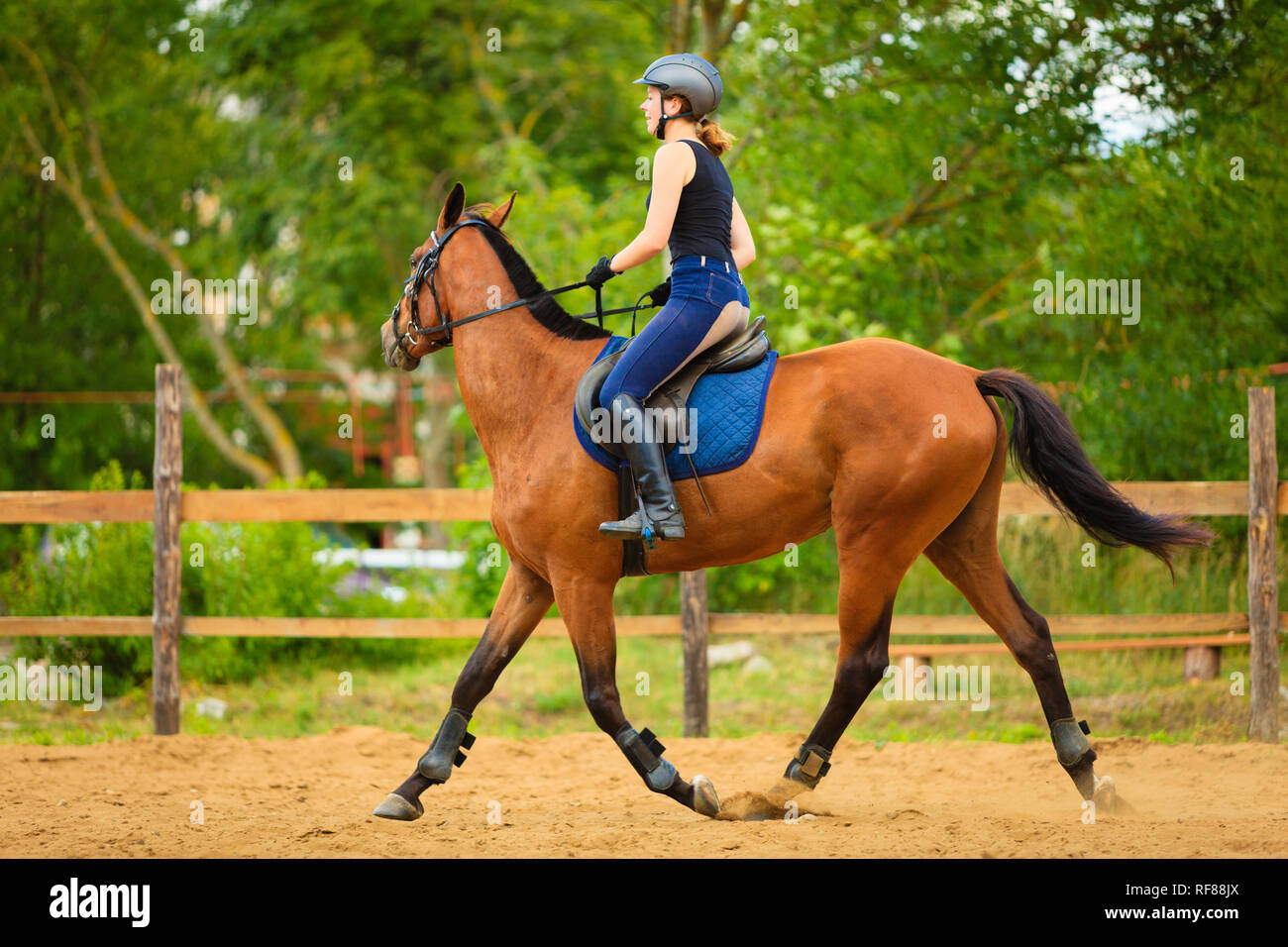 девушка жокей на лошади в полете. песня жокей сделай музыку. диск жокей. эй диджокей сделай музыку громче. эй диджакей сделай музыку громче.