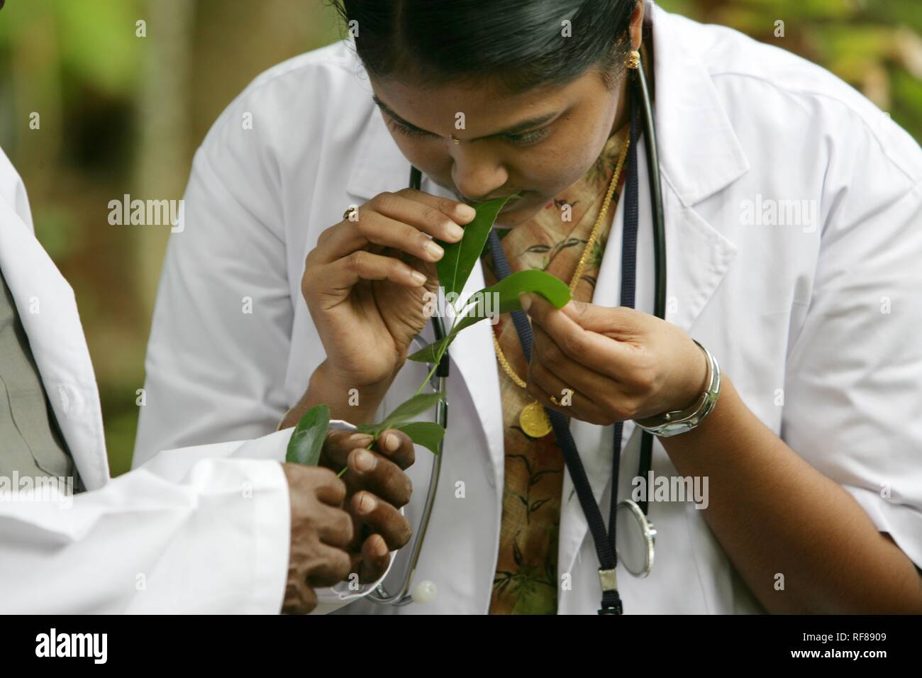 Physicians at Somatheeram Ayurveda Resort, traditional Ayurvedic