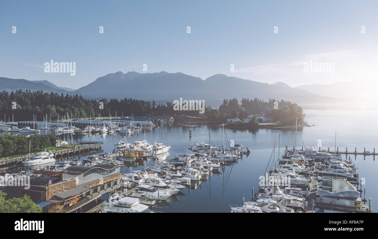 harbor with yachts in the morning Stock Photo - Alamy