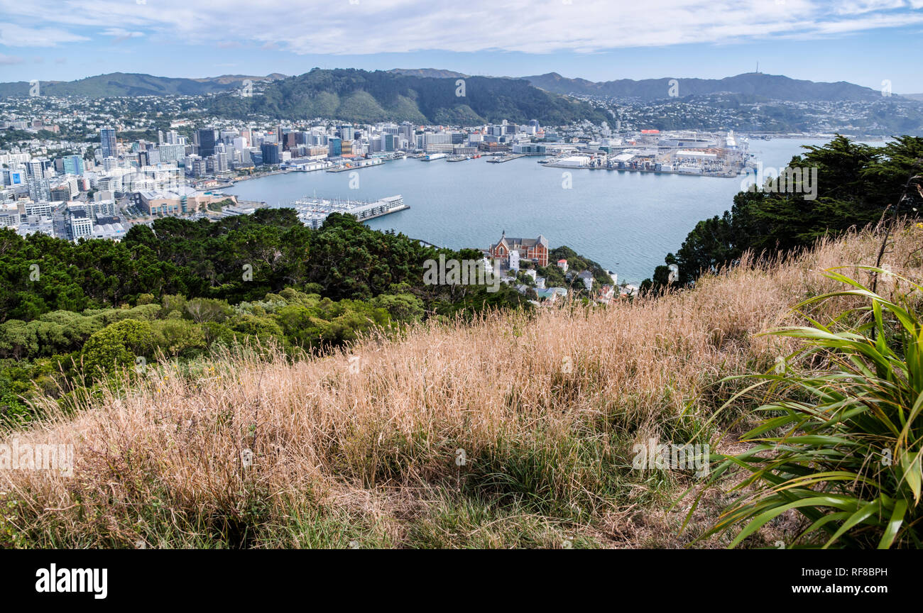 City skyline of New Zealand's capital city Wellington from Mt Victoria lookout, on a warm autumn day Stock Photo