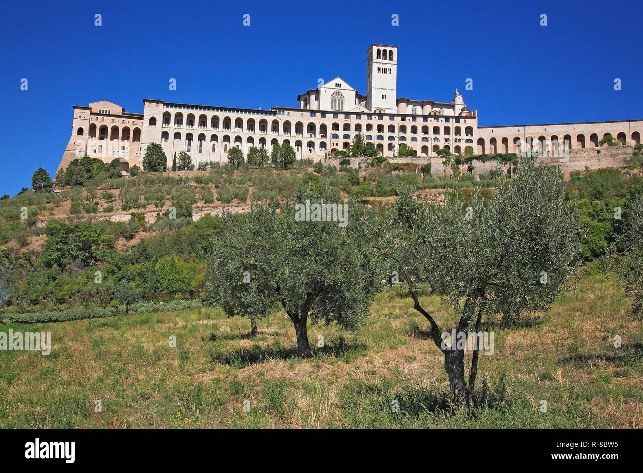 Basilika San Francesco, Assisi, Umbrien, Italien Stock Photo