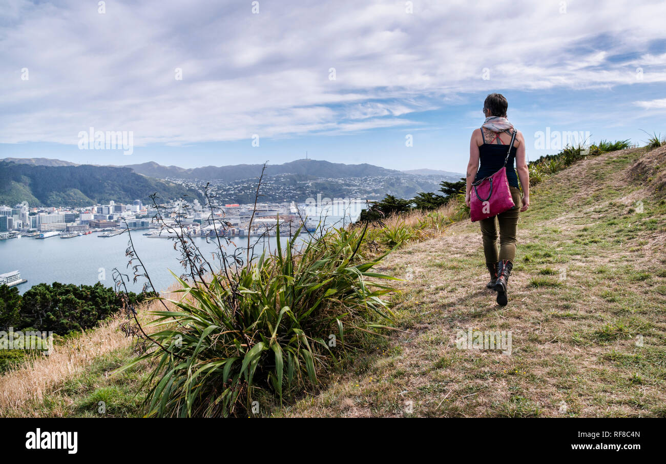 Views of New Zealand's capital city Wellington from Mt Victoria lookout, on a warm autumn day. Stock Photo