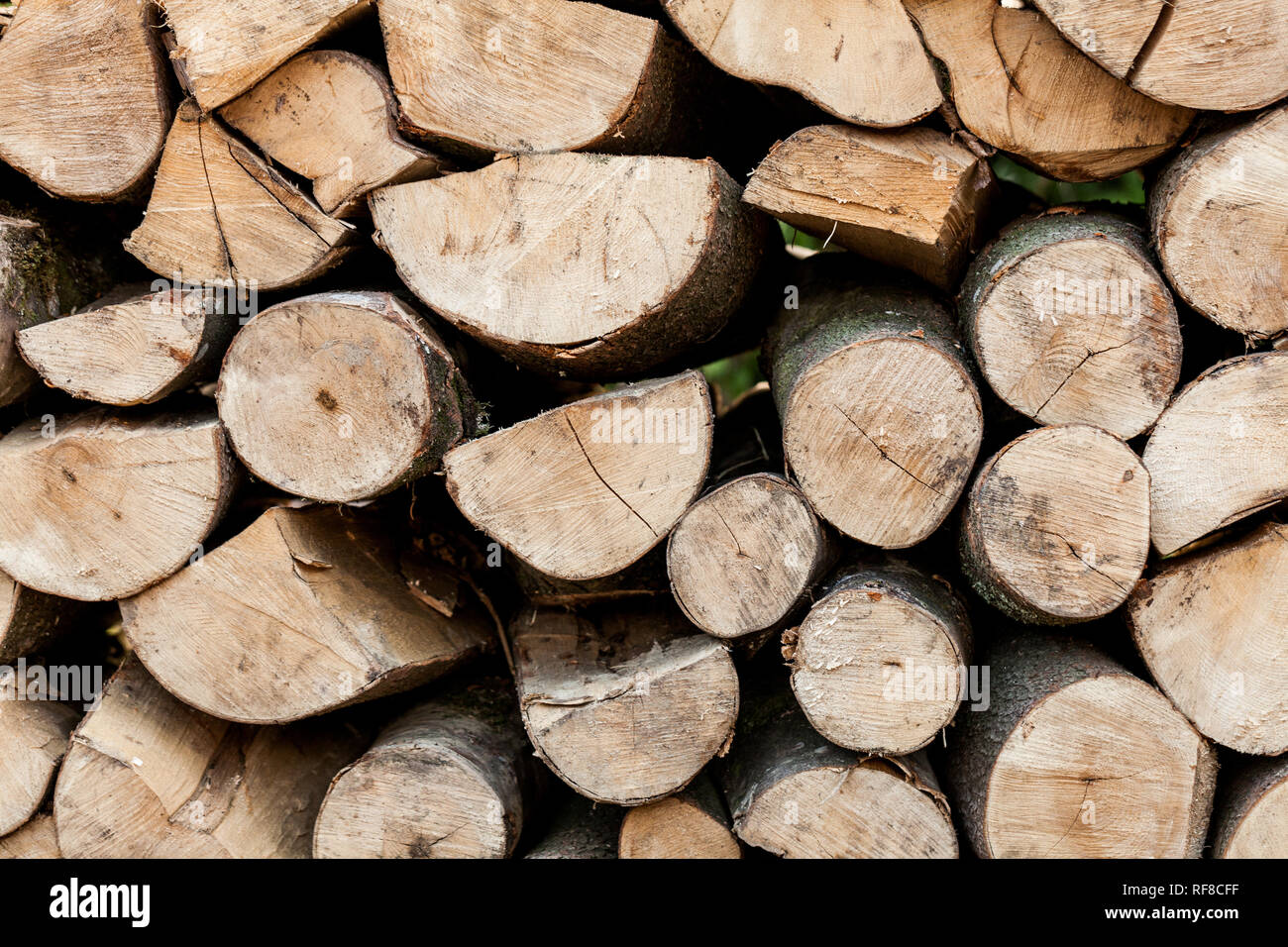 Sawed tree trunks and branches in different sizes, piled up in blue  container Wood storage industry. Background of dry chopped firewood logs  stacked u Stock Photo - Alamy