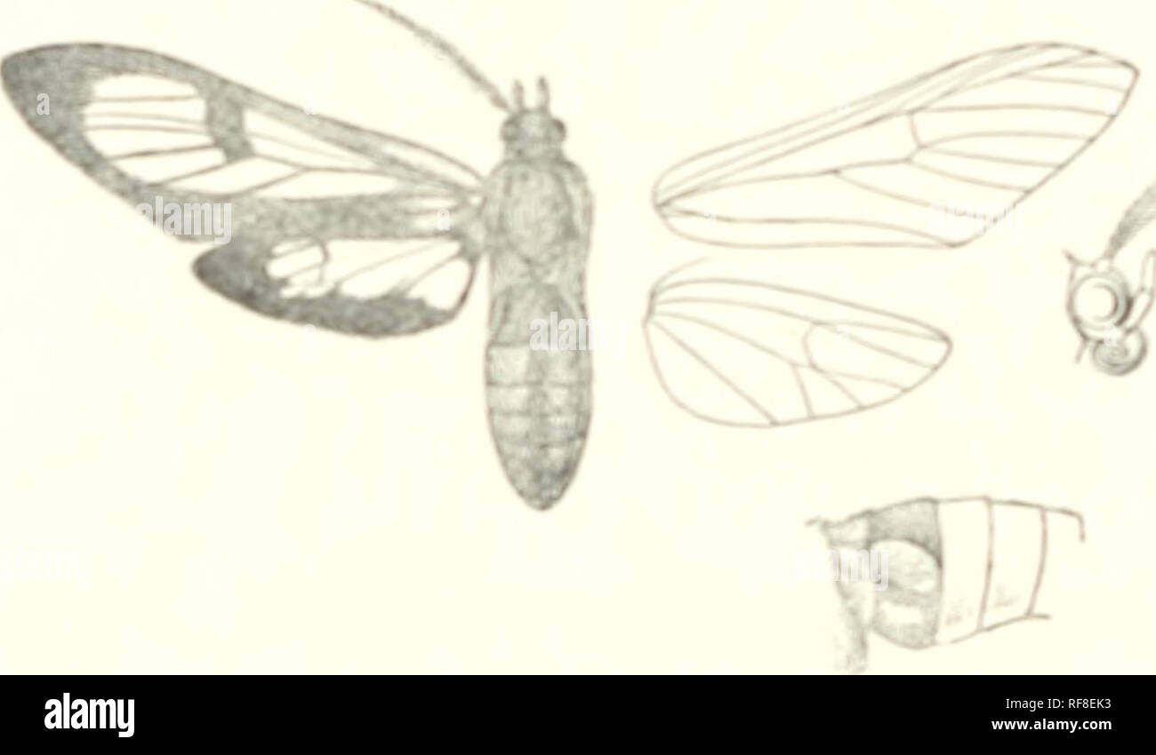 Page 295 - P.i.l High Resolution Stock Photography and Images - Alamy